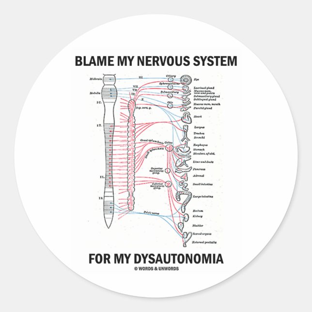 Adesivo Responsabilize meu sistema nervoso por meu (Frente)