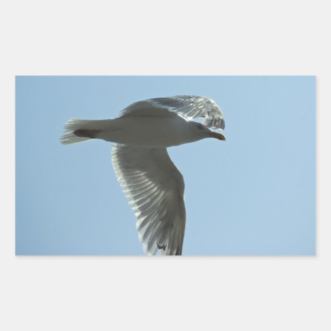 ADESIVO RETANGULAR 2367 (Frente)