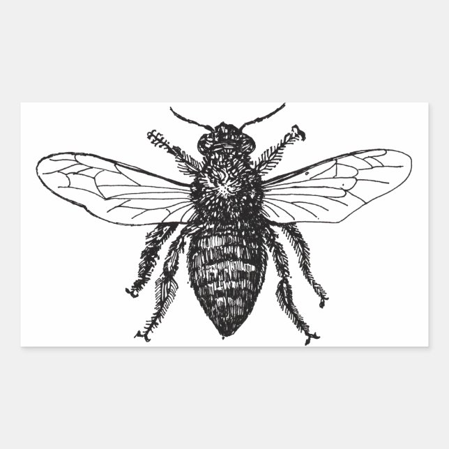 Adesivo Retangular Abeja Trabalhadora Mel Abelha Preta (Frente)