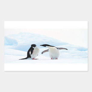 Adesivo Retangular Adelie Penguins