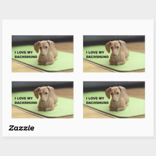 Adesivo Retangular Adoro o meu Cream Dachshund com uma fotografia