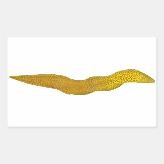 Adesivo Retangular Água fresca Moray (Frente)