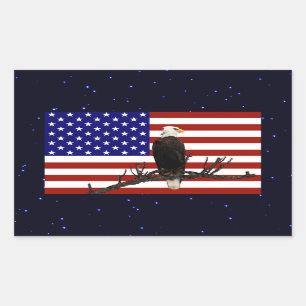 Adesivo Retangular Águia americana sempre vigilante