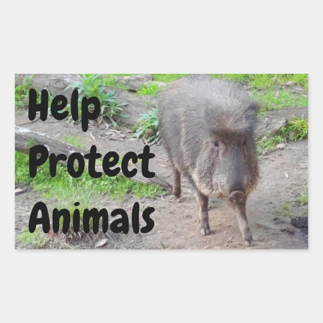 Adesivo Retangular Ajudar a Proteger Animais Peccarias Chacoan #1 (Frente)
