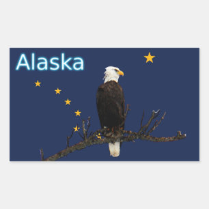 Adesivo Retangular Alaska Eagle E Flag