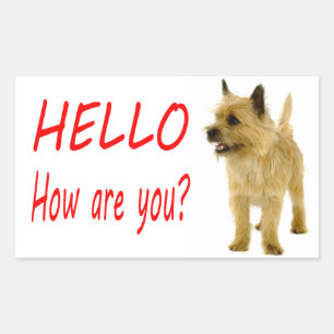 Adesivo Retangular Alô Cairn Terrier Puppy Dog Saudação Stickers