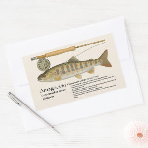 Adesivo Retangular Amago (Oncorhynchus masou ishikawae)