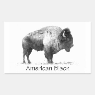 Adesivo Retangular American Bison