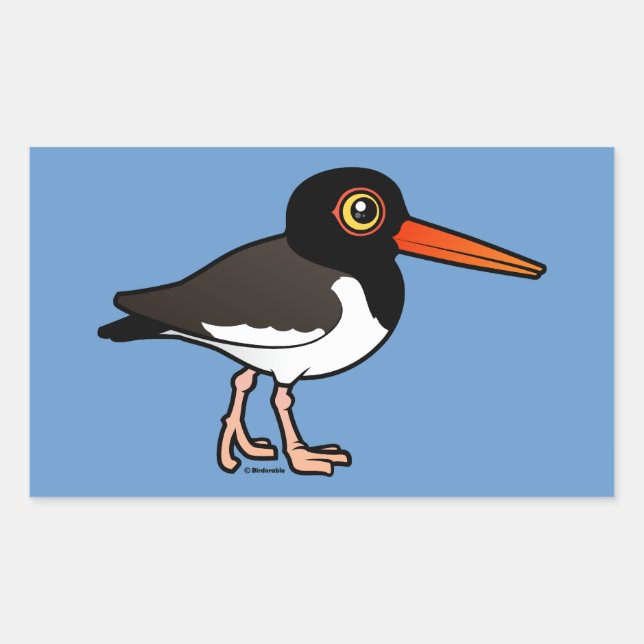 Adesivo Retangular American Oystercatcher (Frente)