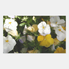 Adesivo Retangular Amor-Perfeito Branco e Amarelo