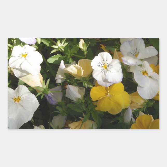 Adesivo Retangular Amor-Perfeito Branco e Amarelo (Frente)