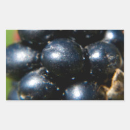 Adesivo Retangular Amoras