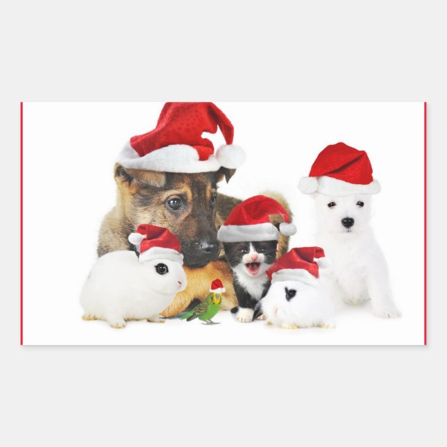 Adesivo Retangular Animais (Frente)