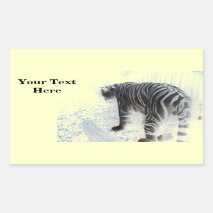 Adesivo Retangular Animal selvagem do tigre branco