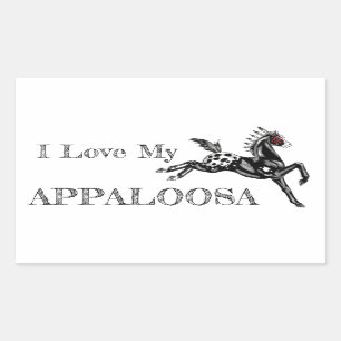 Adesivo Retangular Appaloosa