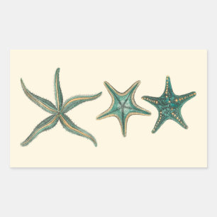Adesivo Retangular Aquamarine Triple Starfish