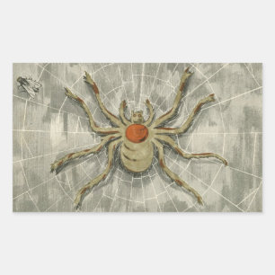 Adesivo Retangular Aranha de Halloween Vintage em Sua Teia com uma Mo