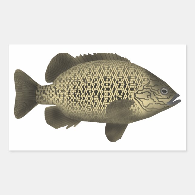 Adesivo Retangular Arrastão de Carvão (Frente)