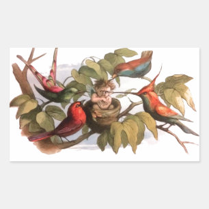 Adesivo Retangular Arte de Fada Vitoriana Antiga Richard Doyle Fada
