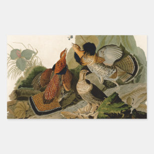 Adesivo Retangular Arte de Ilustração de Ave de Agrupamento Rachado