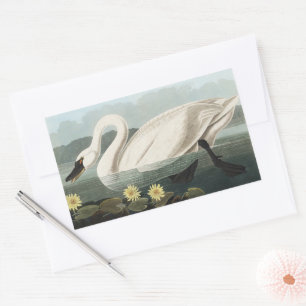 Adesivo Retangular Arte de Lírio de Água Cisne Branco Audubon Vintage