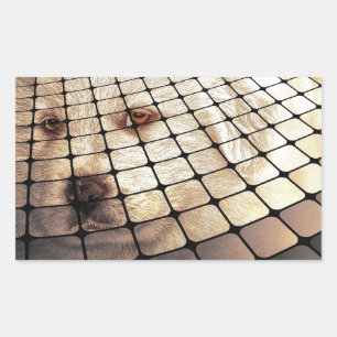 Adesivo Retangular Arte Digital legal