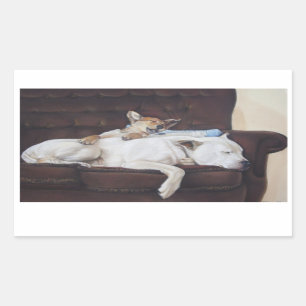 Adesivo Retangular arte realista do cachorrinho branco-americano