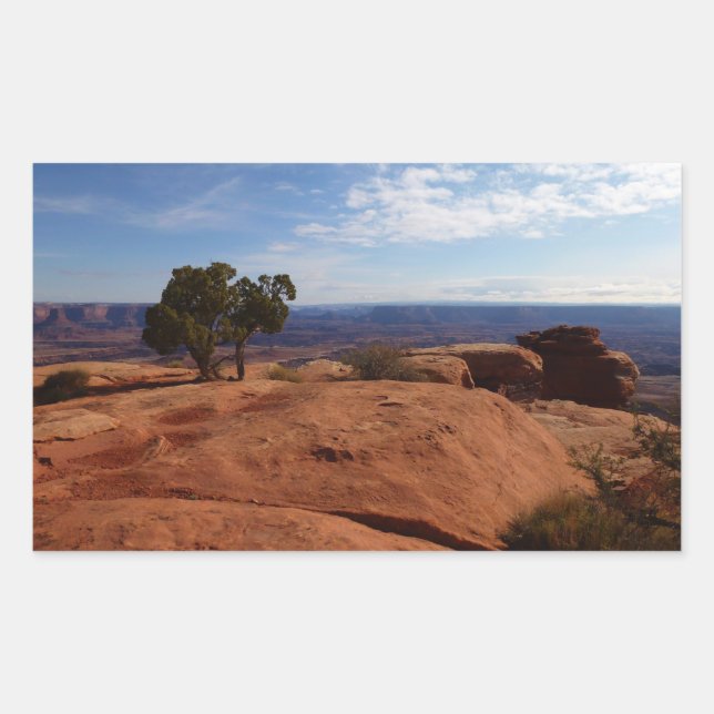 Adesivo Retangular Árvore Fora das Rochas Vermelhas I em Canyonlands (Frente)