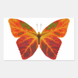 Adesivo Retangular Aspen Leaf Butterfly 2