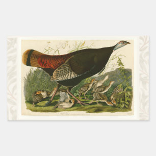 Adesivo Retangular Audubon Wild Turkey Vintage Birds da América