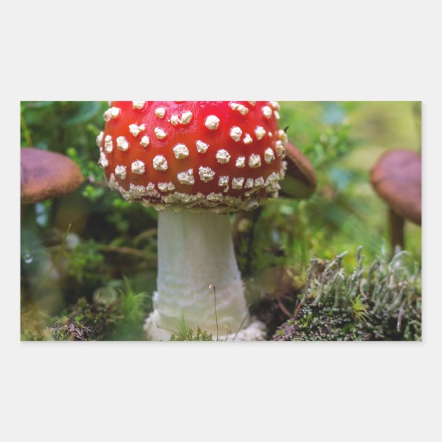 Adesivo Retangular Autumn Beauty (Frente)