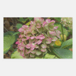 Adesivo Retangular Autumn Hydrangea Bloom com Ouro Hosta Leaves