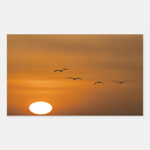 Adesivo Retangular Aves voando no pôr do sol