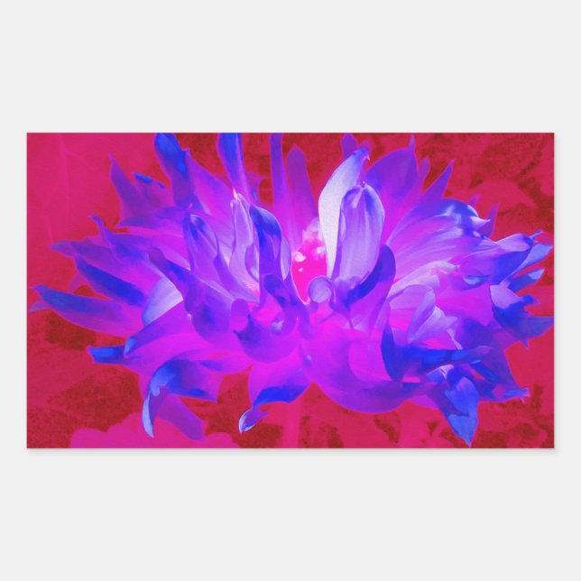 Adesivo Retangular Azul violeta assombroso e Cactus rosa-quente Dahli (Frente)