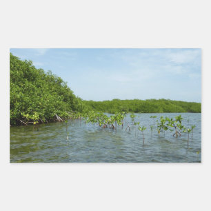 Adesivo Retangular Baby Mangrove Trees no Caribe