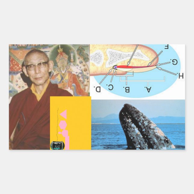 Adesivo Retangular Baleia no prego (Frente)