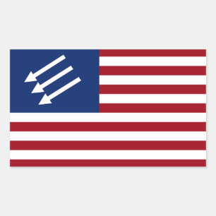 Adesivo Retangular Bandeira Americana Anti-Fascista