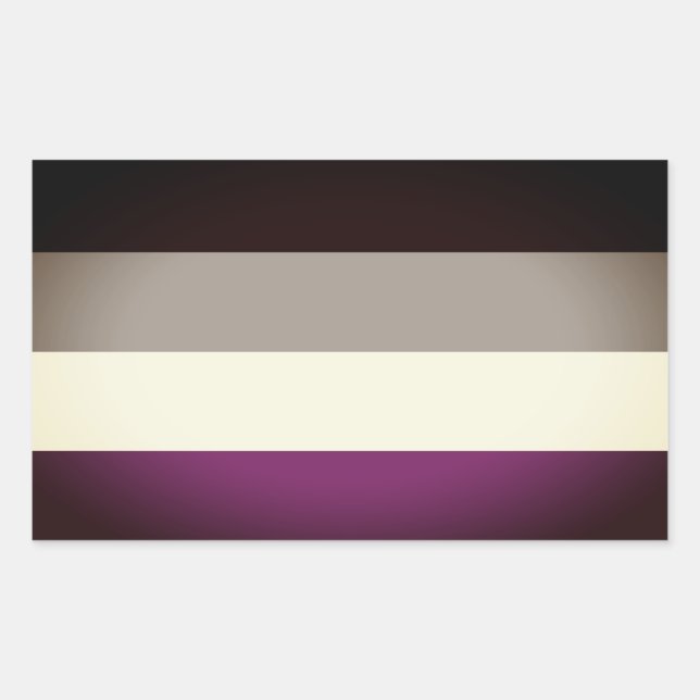 Adesivo Retangular Bandeira do Orgulho Assexual (Frente)