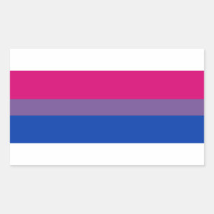 Adesivo Retangular Bandeira do Orgulho Bissexual