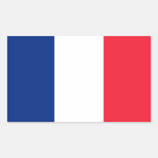 Adesivo Retangular Bandeira francesa