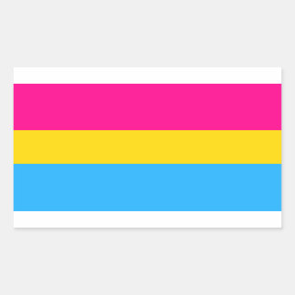 ADESIVO RETANGULAR "BANDEIRA PANSEXUAL DO ORGULHO "