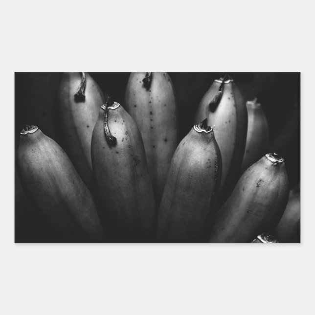 Adesivo Retangular bando divertido (Frente)