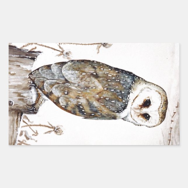 Adesivo Retangular Barn Owl na caça (Frente)