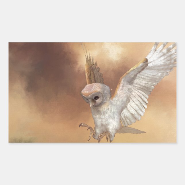Adesivo Retangular Barn Owl na Pintagem Digital de Voo (Frente)