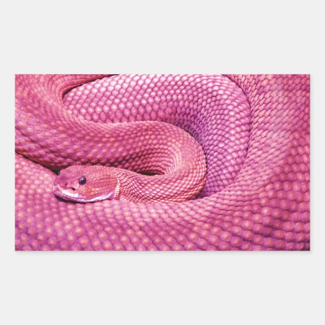 Adesivo Retangular Basilisk Rattlesnake, rosa (Frente)