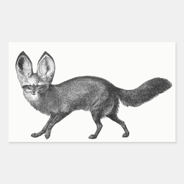 Adesivo Retangular Bat Eared Fox Stickers (Frente)