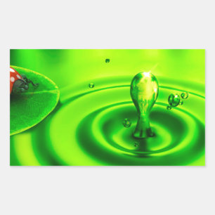 Adesivo Retangular Beautiful-hd-wallpaper-nature-1920-x-1080-free-dow