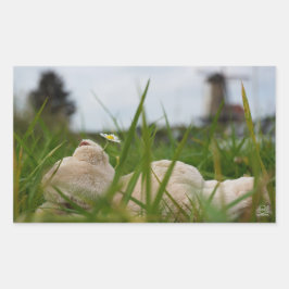 Adesivo Retangular Beer relaxt in natuur met Hollandse molen.