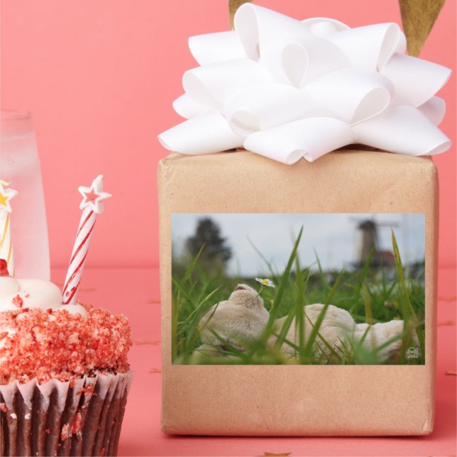 Adesivo Retangular Beer relaxt in natuur met Hollandse molen. (Festa)