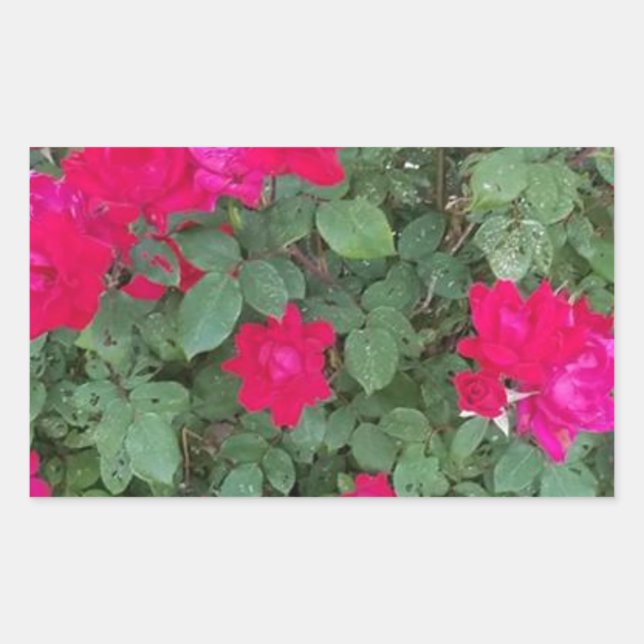 Adesivo Retangular Belas Flores (Frente)